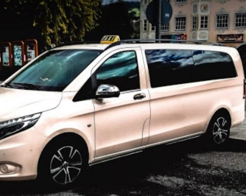 taxigarmisch2